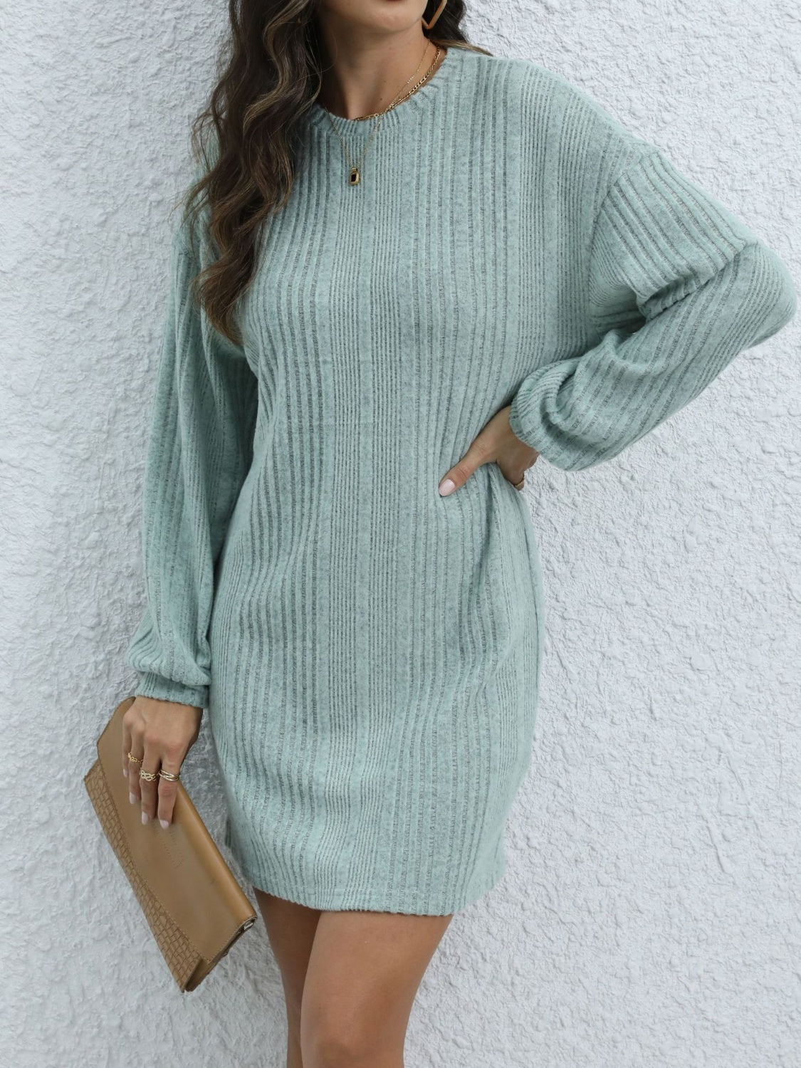 Round Neck Long Sleeve Mini Dress Trendsi